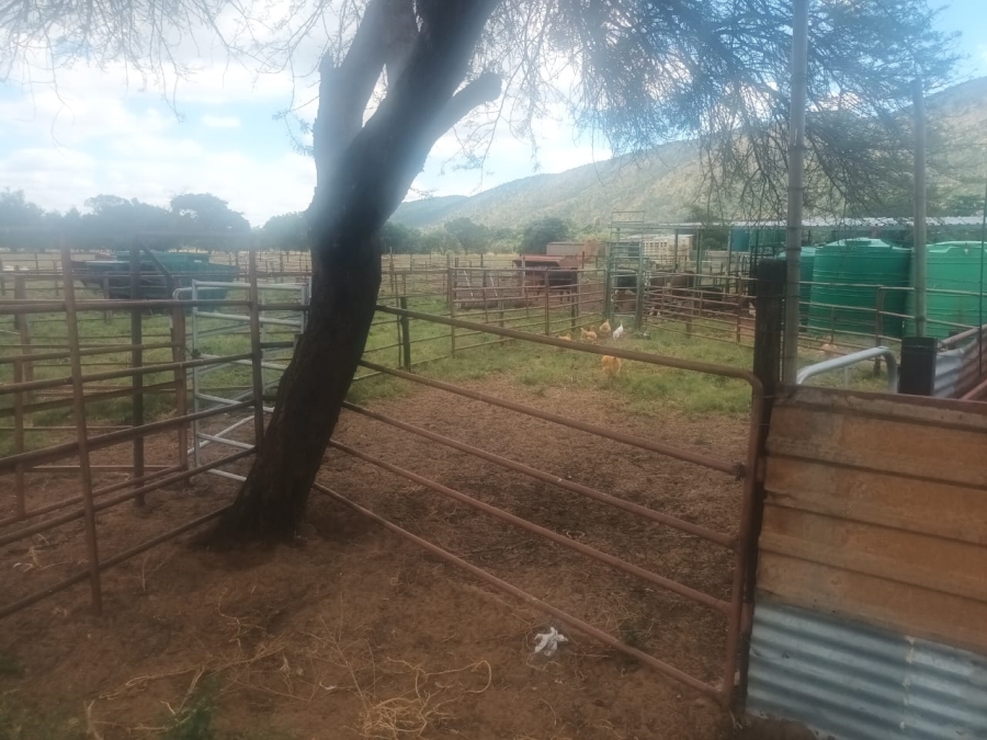 14 Bedroom Property for Sale in Mahwelereng Limpopo