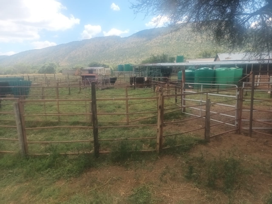 14 Bedroom Property for Sale in Mahwelereng Limpopo