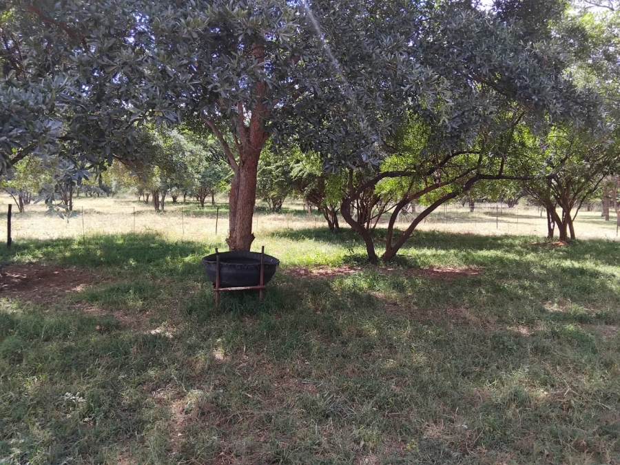 14 Bedroom Property for Sale in Mahwelereng Limpopo