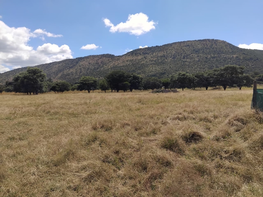 14 Bedroom Property for Sale in Mahwelereng Limpopo