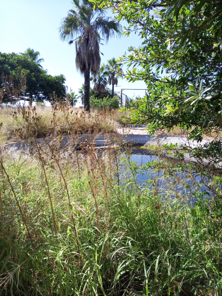 Commercial Property for Sale in Palmietfontein Limpopo