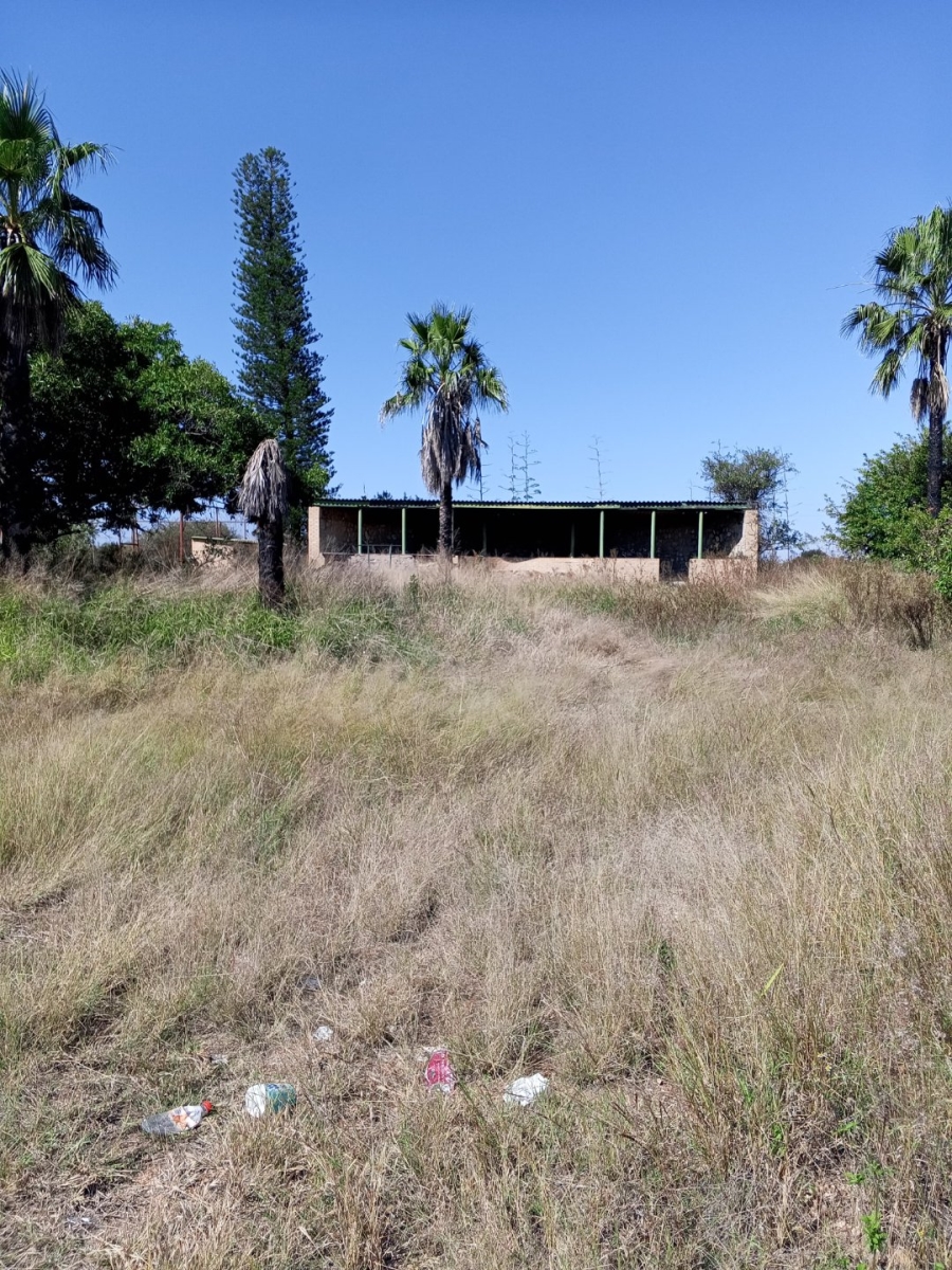 Commercial Property for Sale in Palmietfontein Limpopo
