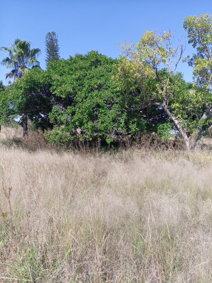 Commercial Property for Sale in Palmietfontein Limpopo