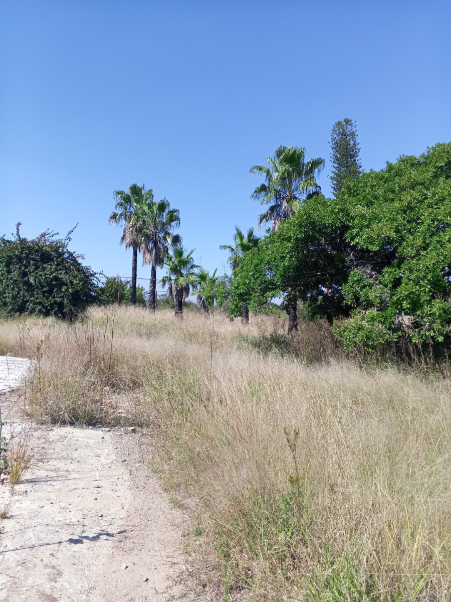 Commercial Property for Sale in Palmietfontein Limpopo