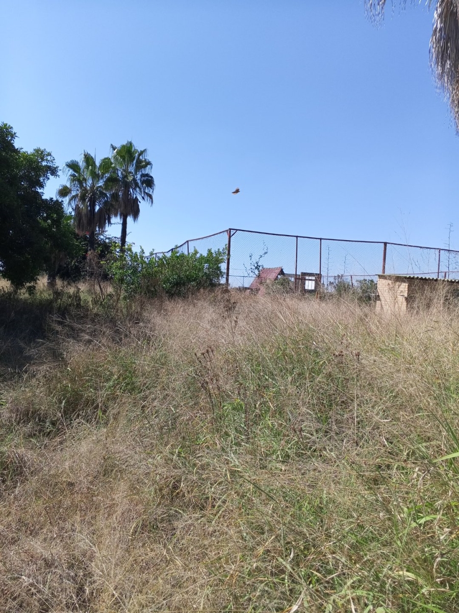 Commercial Property for Sale in Palmietfontein Limpopo