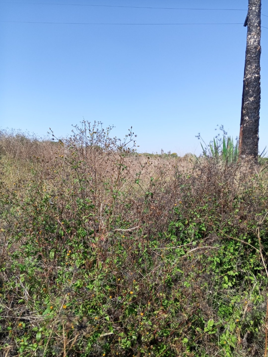 Commercial Property for Sale in Palmietfontein Limpopo