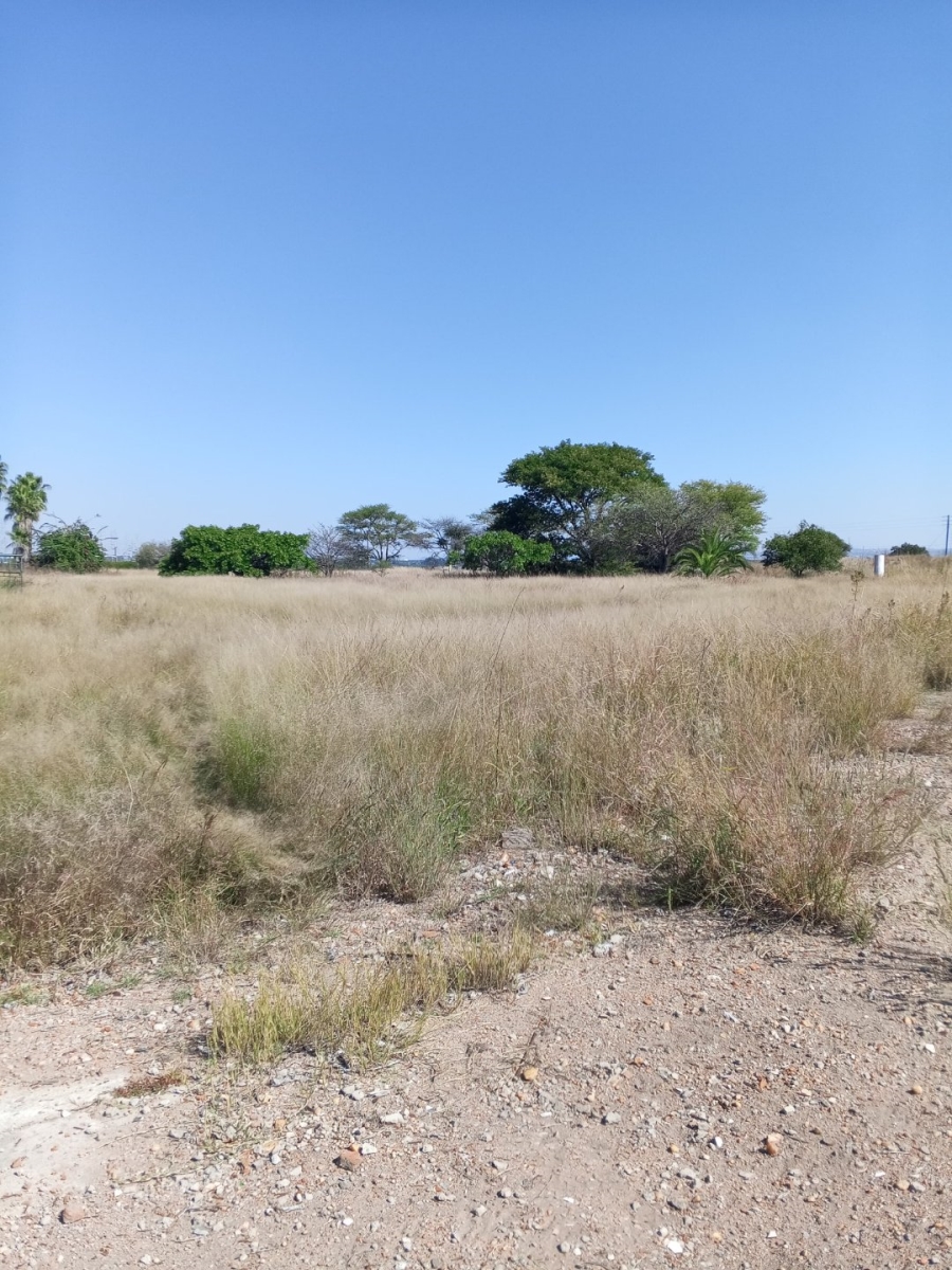 Commercial Property for Sale in Palmietfontein Limpopo