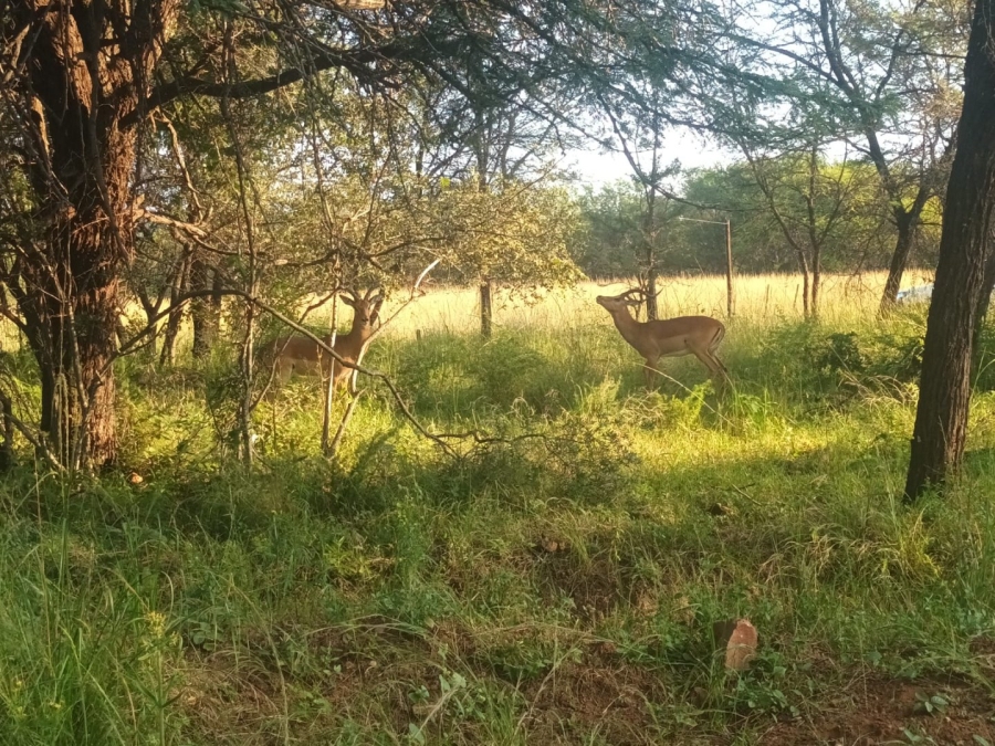 35 Bedroom Property for Sale in Rietfontein A H Limpopo