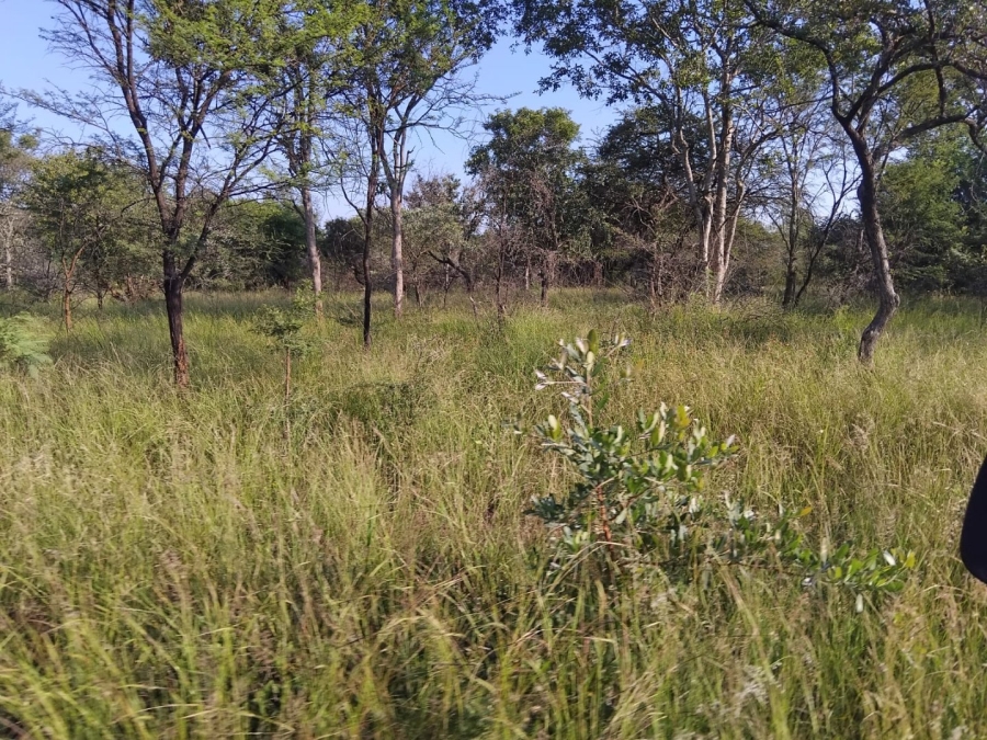 35 Bedroom Property for Sale in Rietfontein A H Limpopo