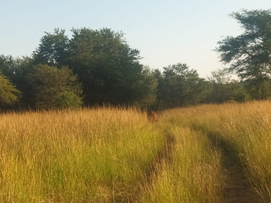 35 Bedroom Property for Sale in Rietfontein A H Limpopo