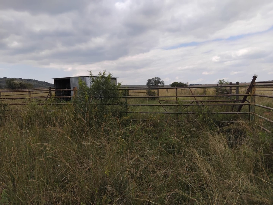  Bedroom Property for Sale in Modimolle Limpopo