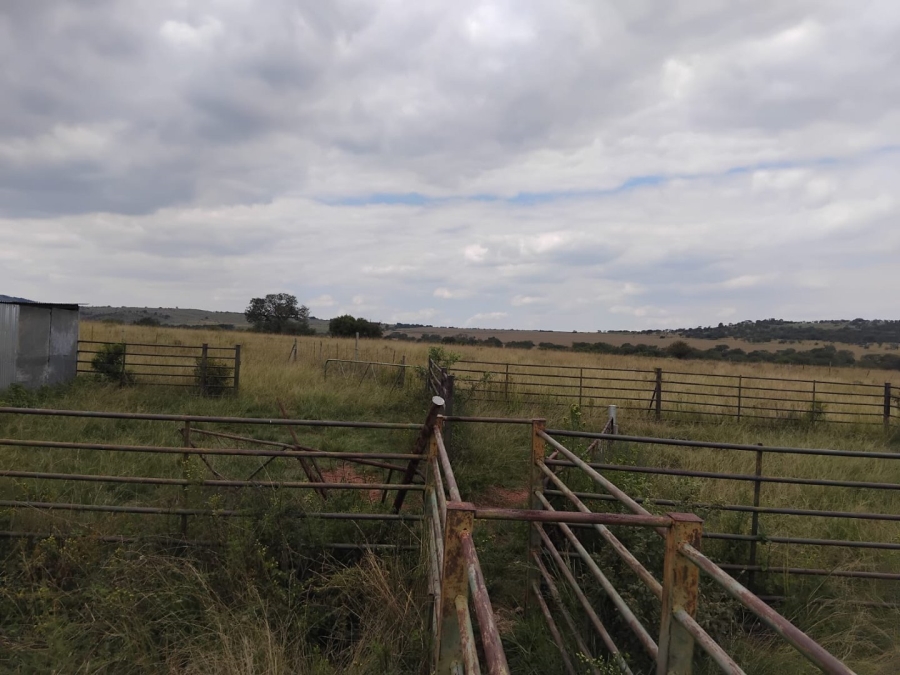  Bedroom Property for Sale in Modimolle Limpopo