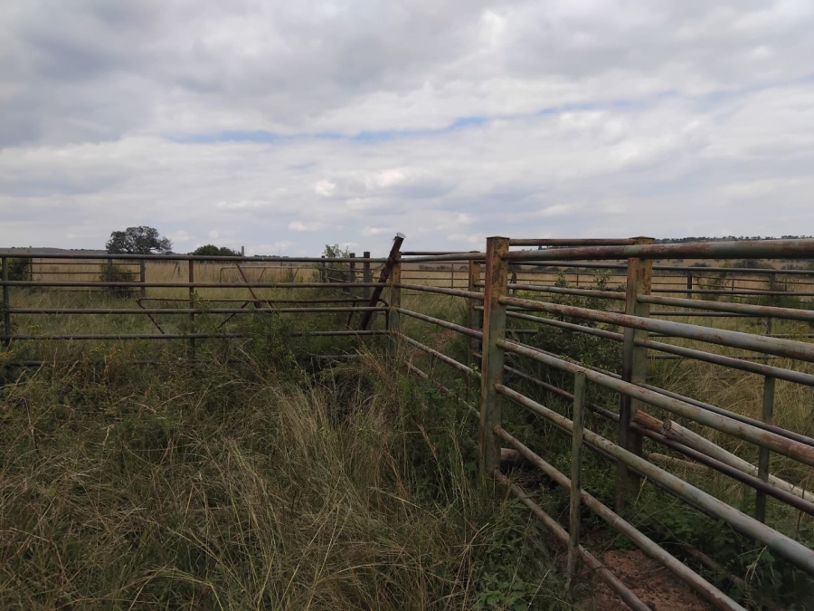 Bedroom Property for Sale in Modimolle Limpopo