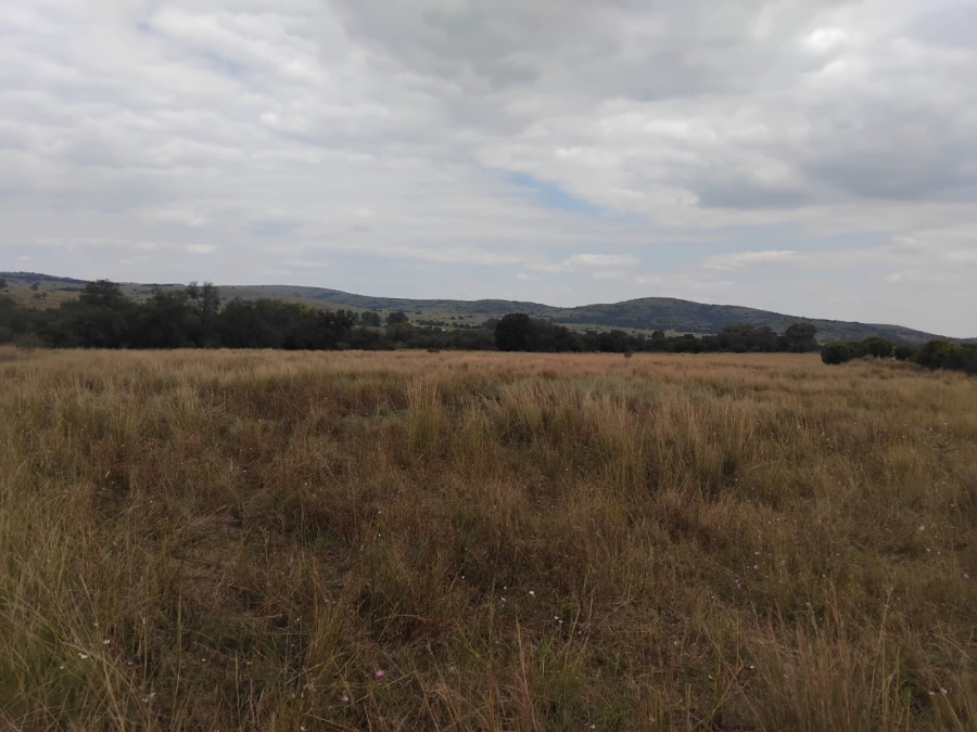  Bedroom Property for Sale in Modimolle Limpopo