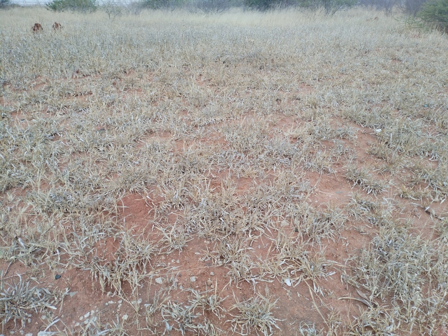  Bedroom Property for Sale in Mahlako-A-Phahla Gardens Limpopo