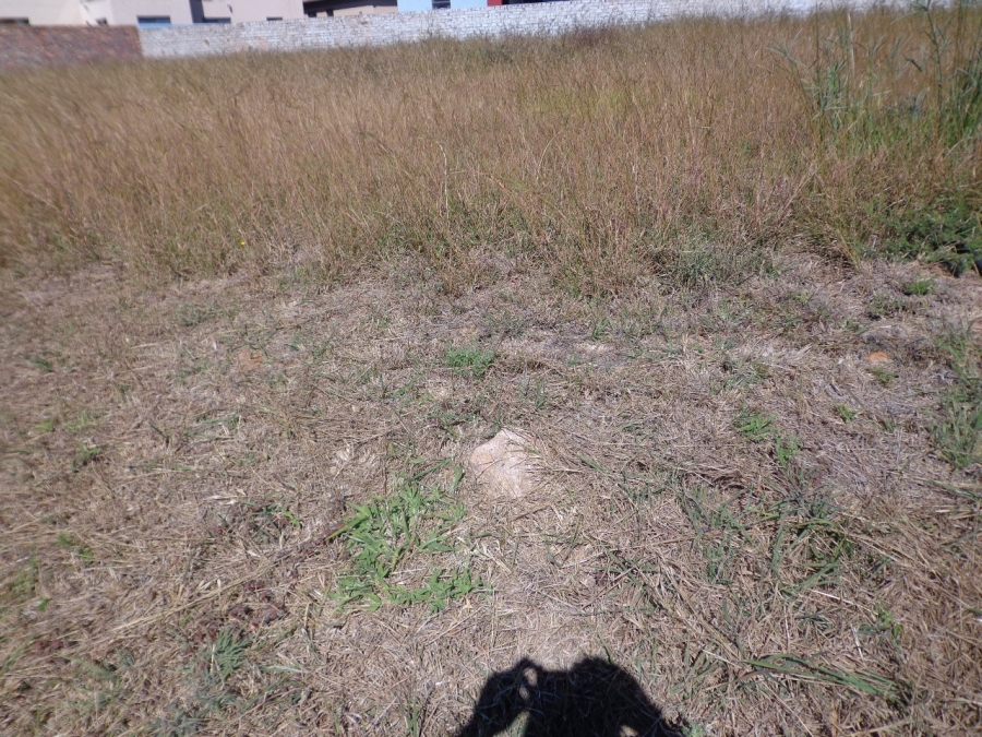  Bedroom Property for Sale in Bendor Limpopo