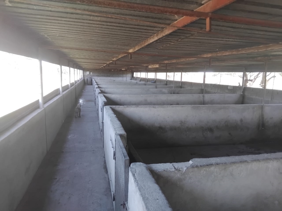7 Bedroom Property for Sale in Polokwane Rural Limpopo