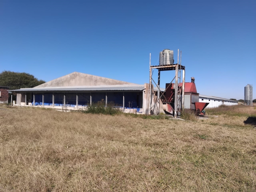 7 Bedroom Property for Sale in Polokwane Rural Limpopo