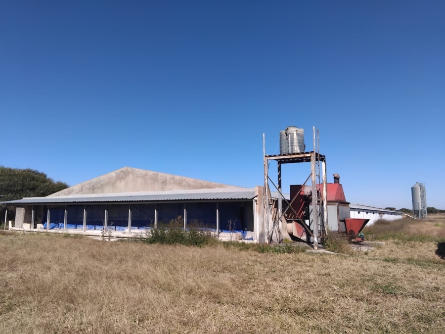 7 Bedroom Property for Sale in Polokwane Rural Limpopo