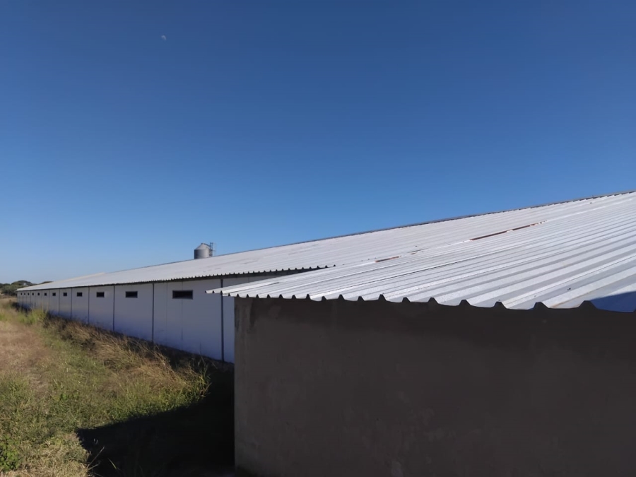 7 Bedroom Property for Sale in Polokwane Rural Limpopo