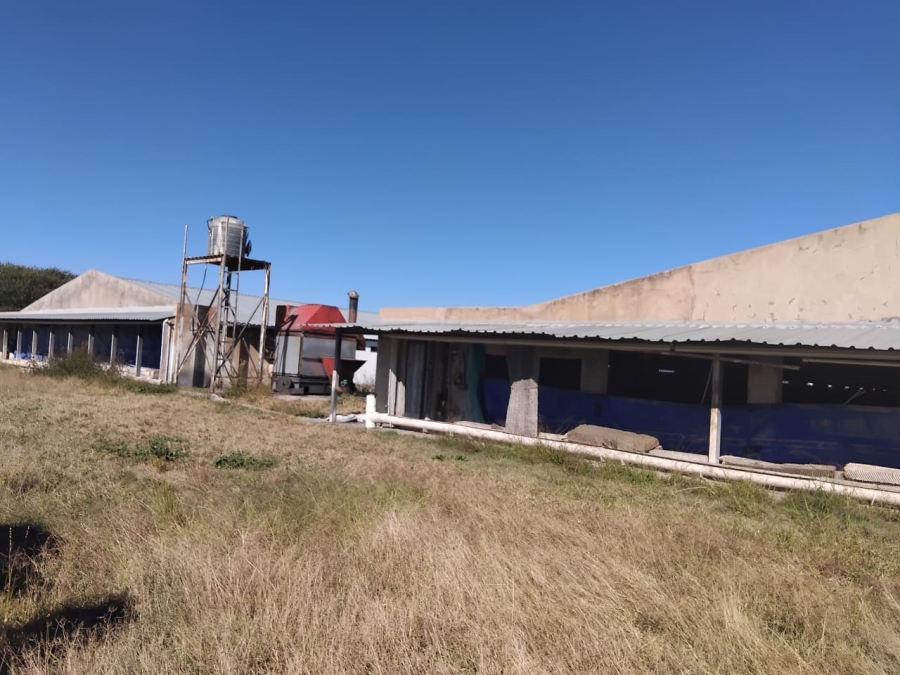 7 Bedroom Property for Sale in Polokwane Rural Limpopo