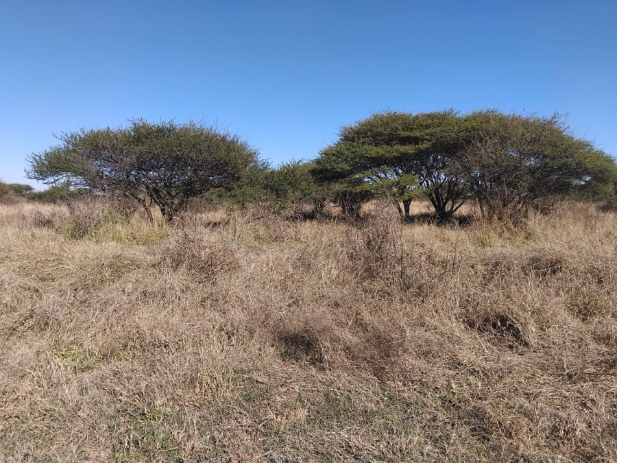 7 Bedroom Property for Sale in Polokwane Rural Limpopo