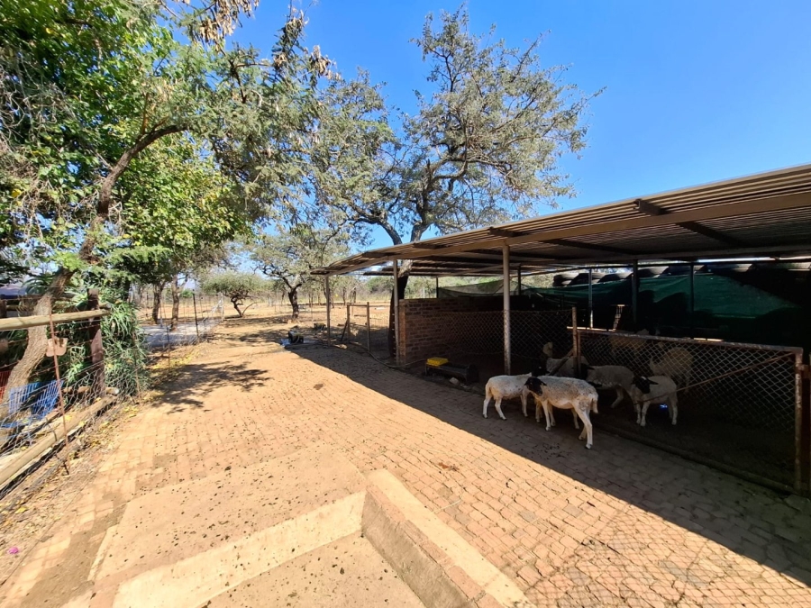 3 Bedroom Property for Sale in Polokwane Rural Limpopo