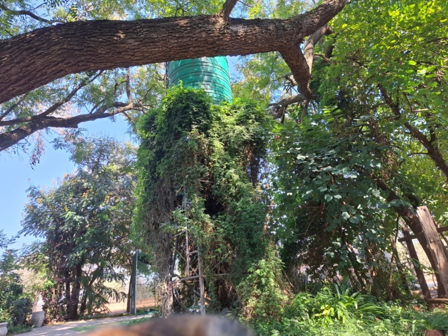 3 Bedroom Property for Sale in Polokwane Rural Limpopo