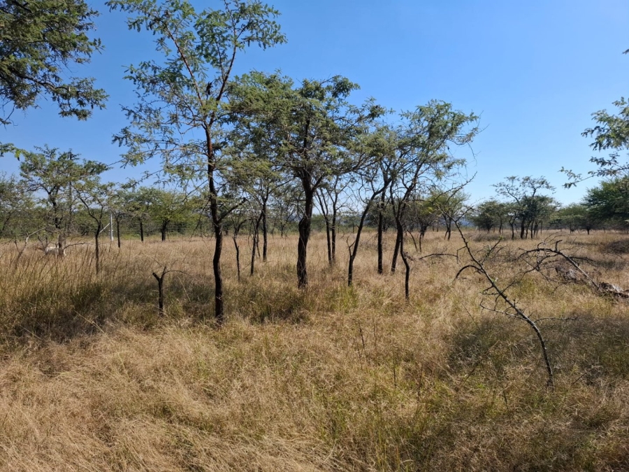 3 Bedroom Property for Sale in Polokwane Rural Limpopo