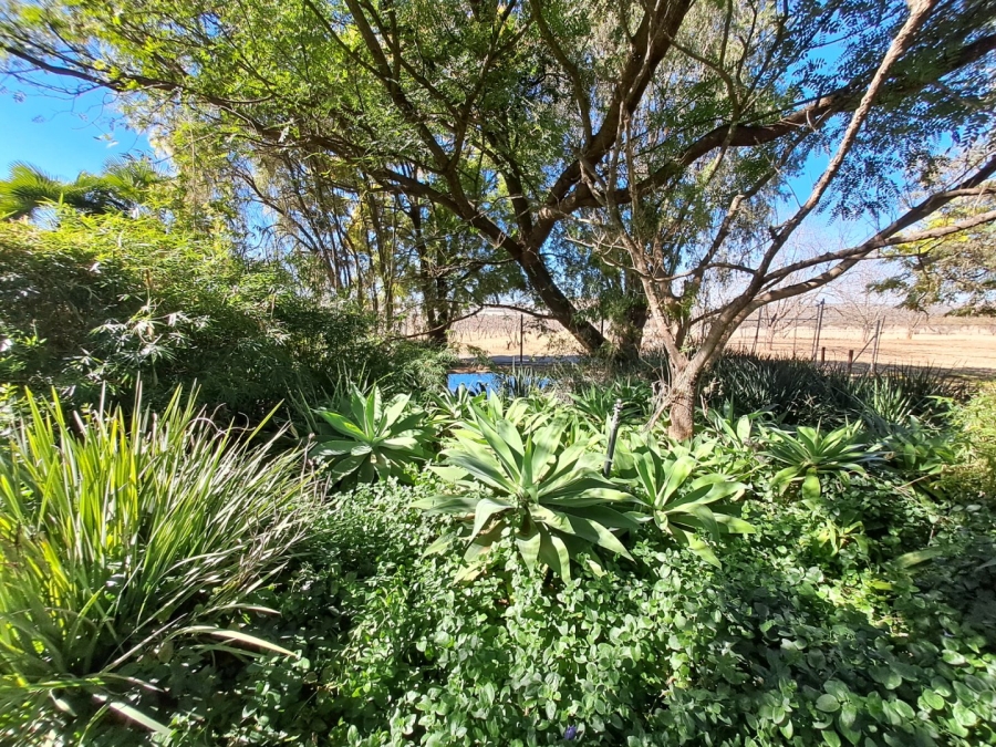 3 Bedroom Property for Sale in Polokwane Rural Limpopo