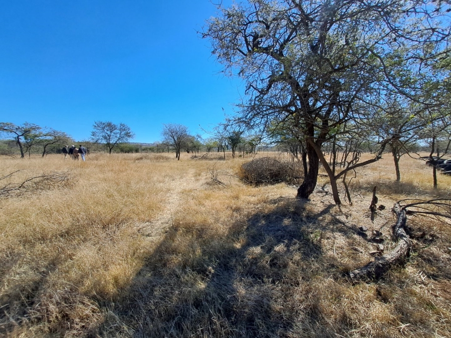 3 Bedroom Property for Sale in Polokwane Rural Limpopo