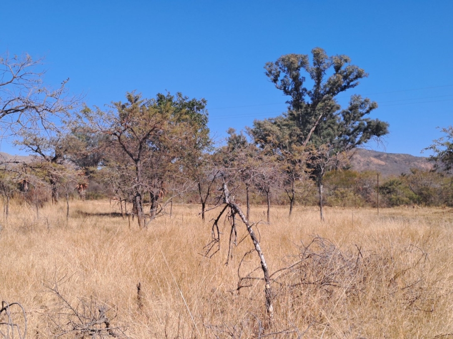 3 Bedroom Property for Sale in Polokwane Rural Limpopo