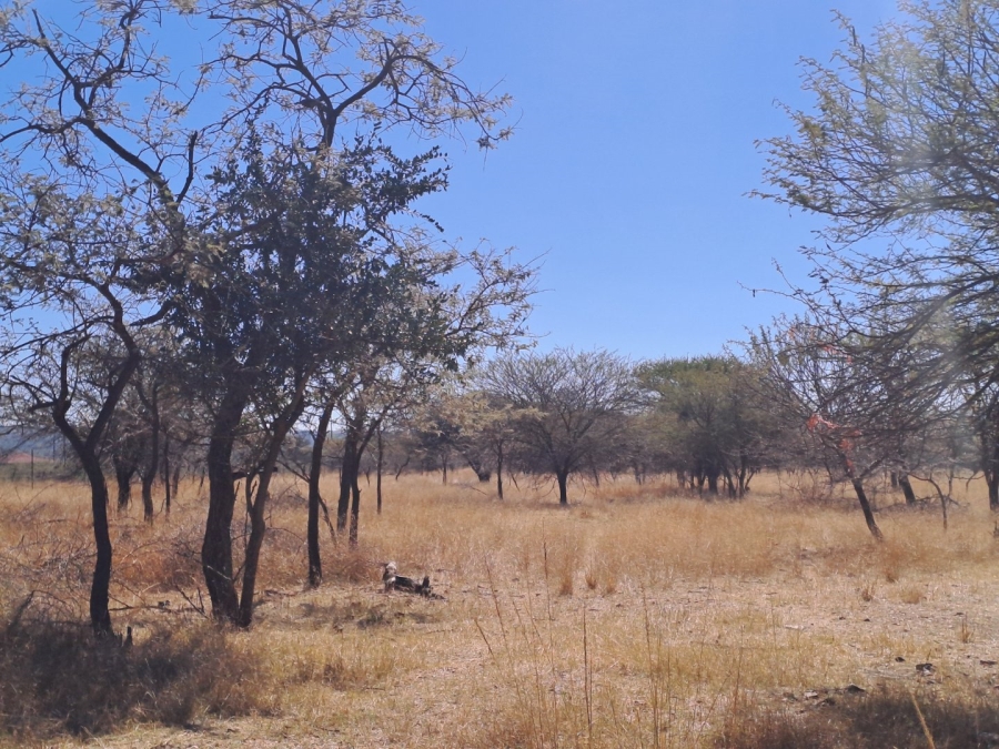 3 Bedroom Property for Sale in Polokwane Rural Limpopo