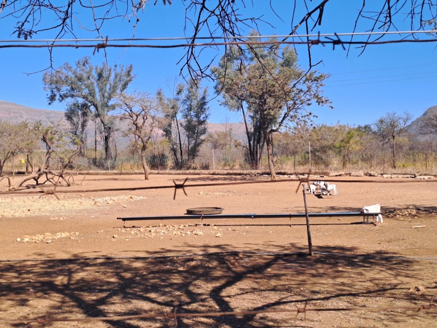 3 Bedroom Property for Sale in Polokwane Rural Limpopo
