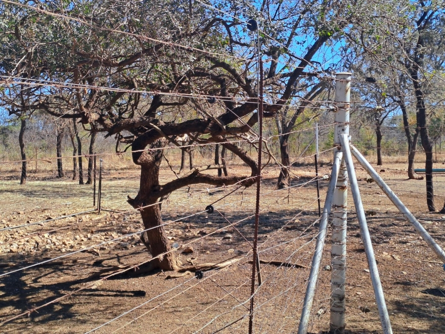 3 Bedroom Property for Sale in Polokwane Rural Limpopo