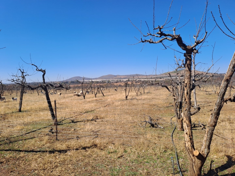 3 Bedroom Property for Sale in Polokwane Rural Limpopo
