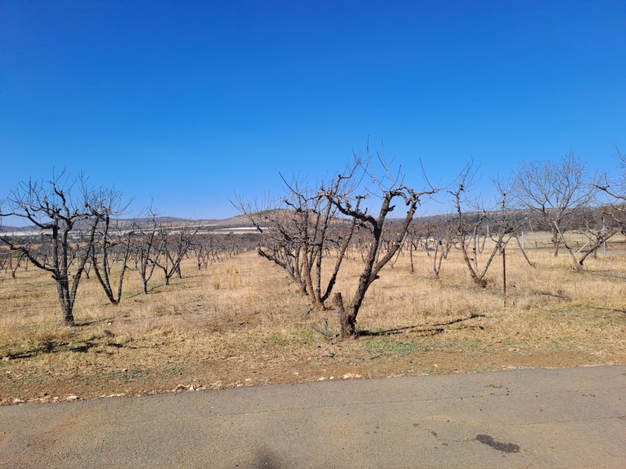 3 Bedroom Property for Sale in Polokwane Rural Limpopo