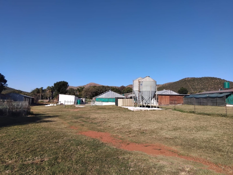 12 Bedroom Property for Sale in Mahwelereng Limpopo