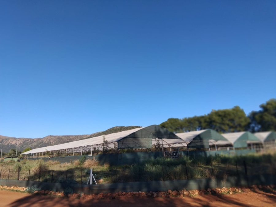 12 Bedroom Property for Sale in Mahwelereng Limpopo