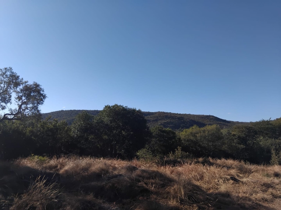12 Bedroom Property for Sale in Mahwelereng Limpopo