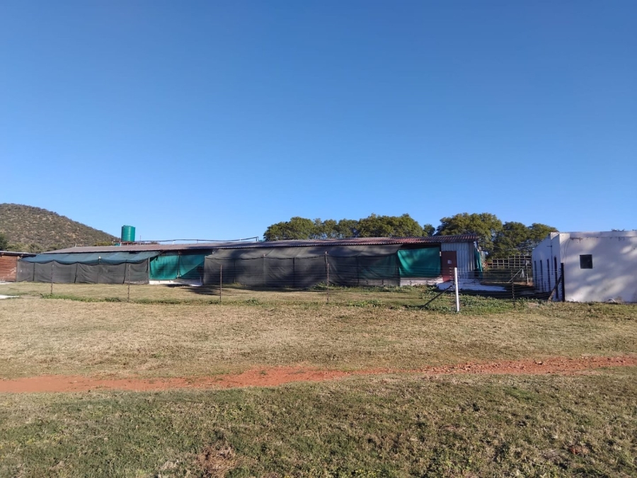12 Bedroom Property for Sale in Mahwelereng Limpopo