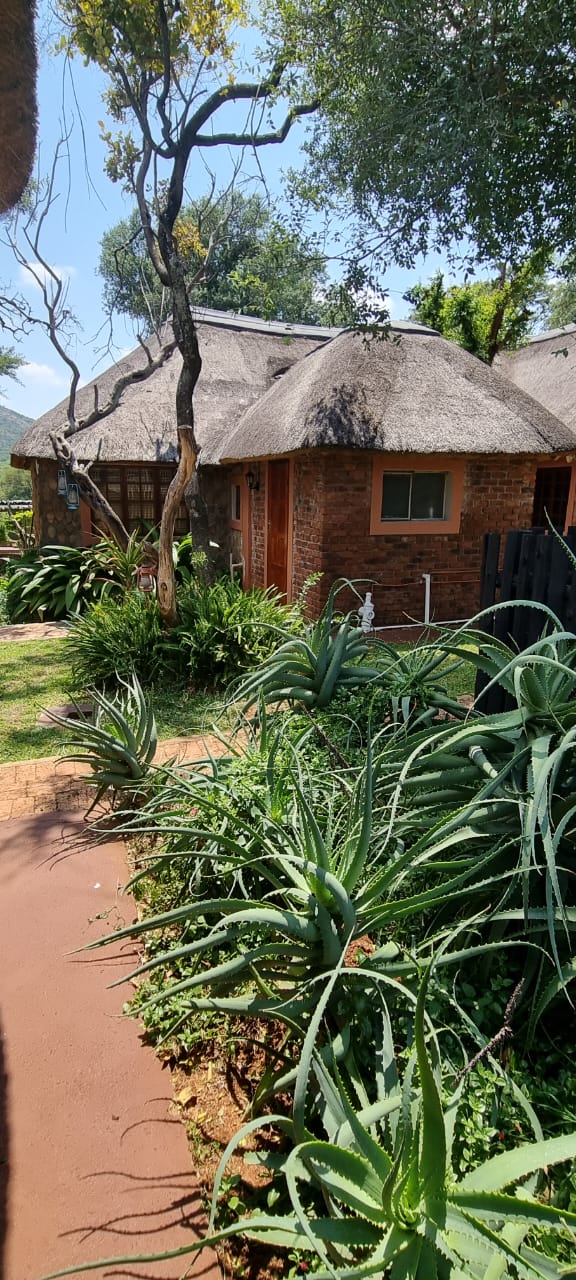 12 Bedroom Property for Sale in Mahwelereng Limpopo
