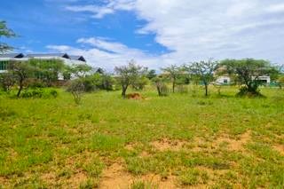  Bedroom Property for Sale in The Aloes Lifestyle Estate Limpopo