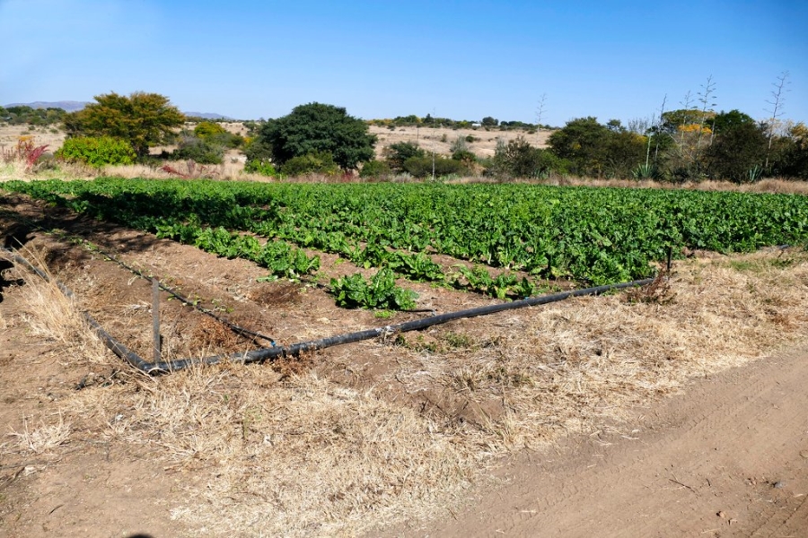 4 Bedroom Property for Sale in Leeukuil AH Limpopo