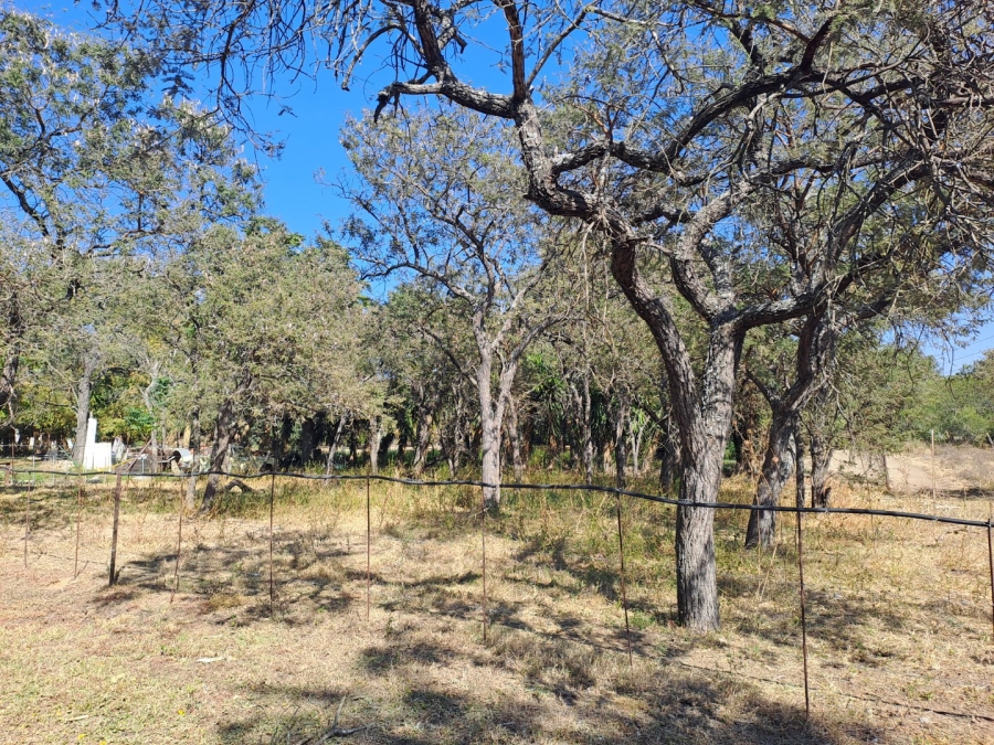 4 Bedroom Property for Sale in Palmietfontein Limpopo