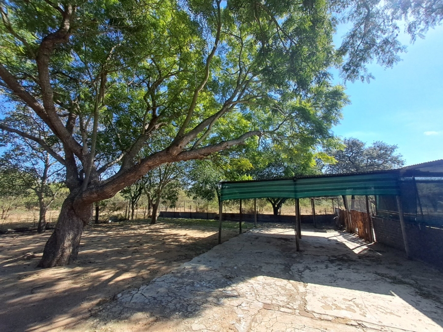 4 Bedroom Property for Sale in Palmietfontein Limpopo
