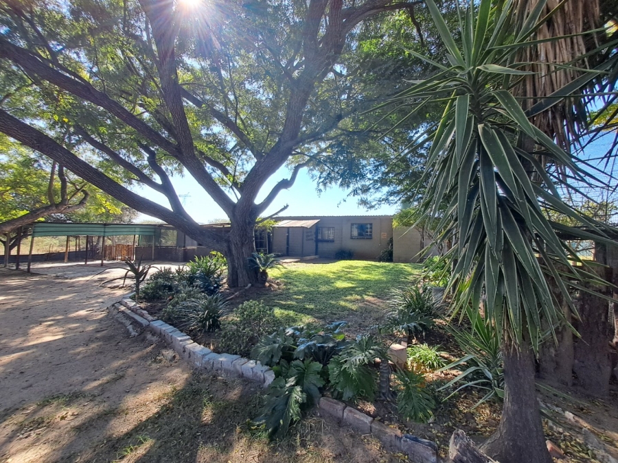 4 Bedroom Property for Sale in Palmietfontein Limpopo