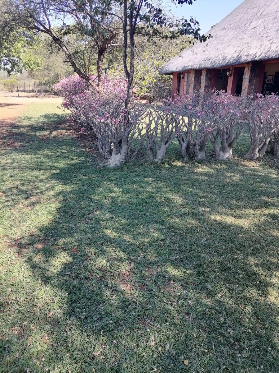 3 Bedroom Property for Sale in Musina Limpopo
