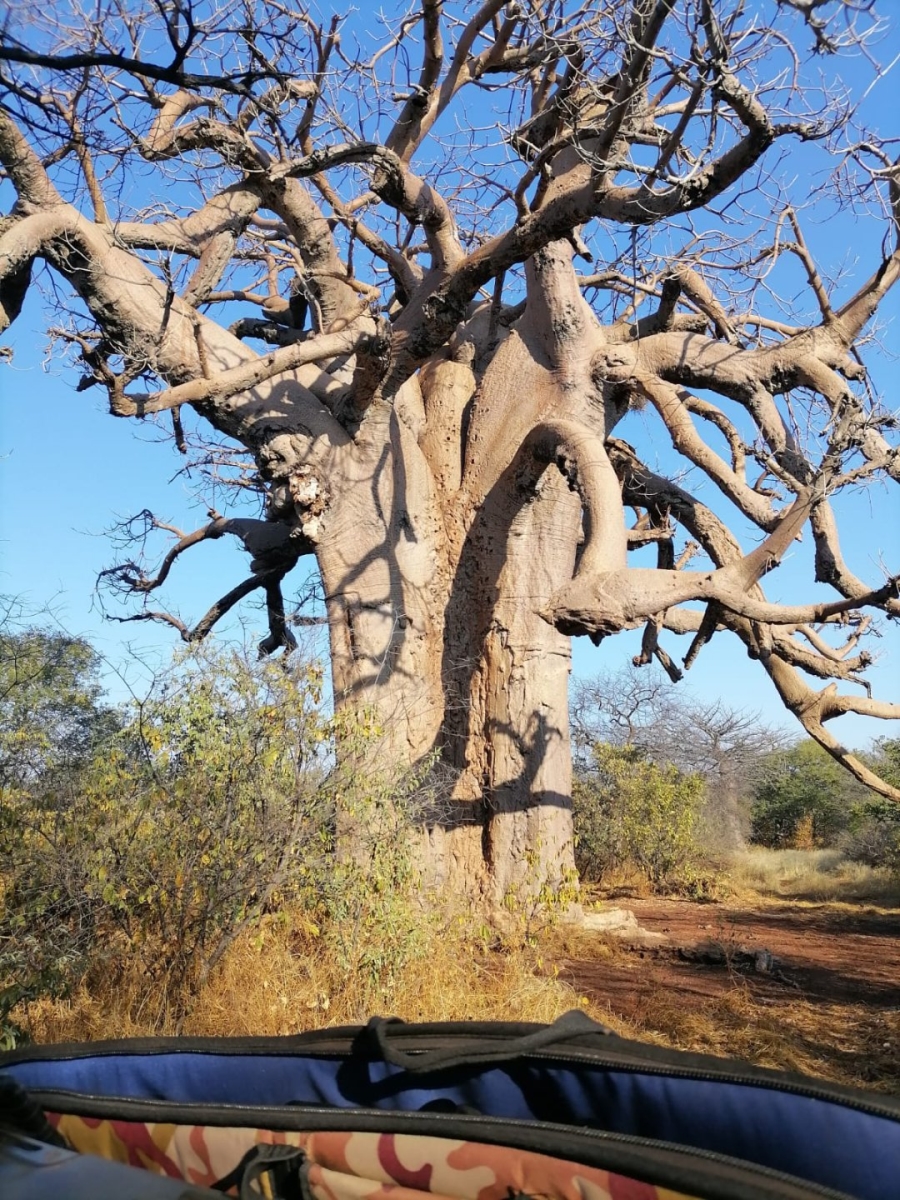 3 Bedroom Property for Sale in Musina Limpopo