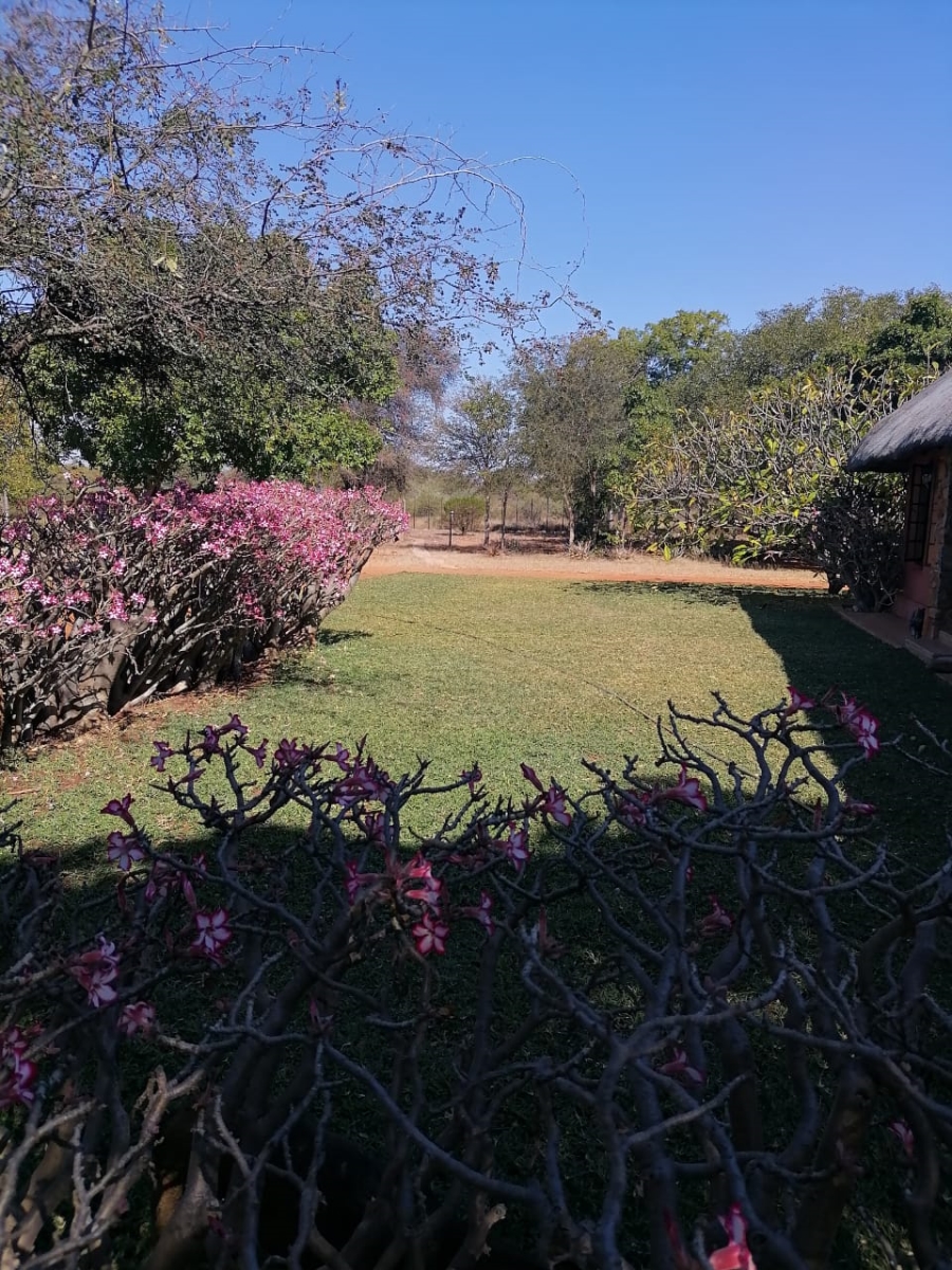 3 Bedroom Property for Sale in Musina Limpopo
